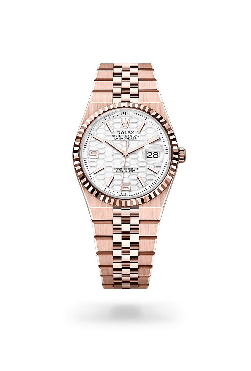 Oyster, 36 mm, Everose gold