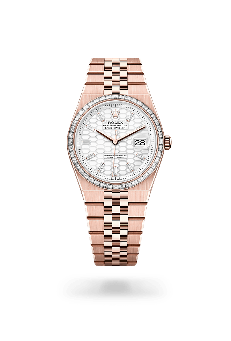 Oyster, 36 mm, Everose gold and diamonds