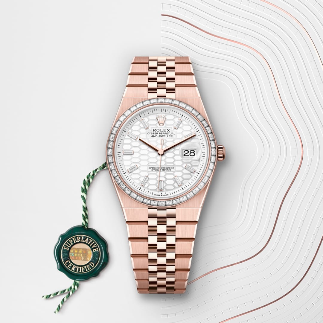 Oyster, 36 mm, Everose gold and diamonds